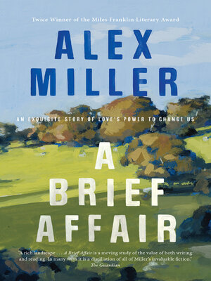cover image of A Brief Affair